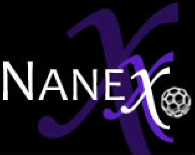 NANEX logo
