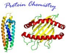 Εργαστήριο Χημείας Πρωτεϊνών - Logo